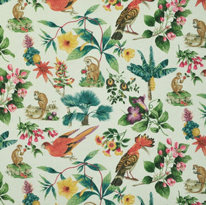 P Kaufmann Bel Amour Document Fabric per meter